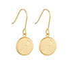 Round New Zealand/Aotearoa Map Pendant Earrings