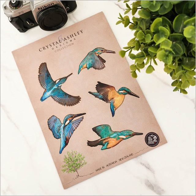 Pop out Native Bird Wall Sets A4