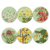 NZ Native Botanicals Placemats