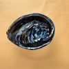 Sam Genet Pottery Paua Shells