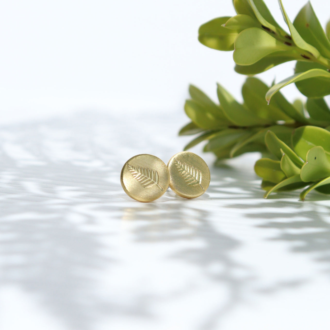 Round Fern Studs