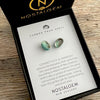 Paua Shell Studs