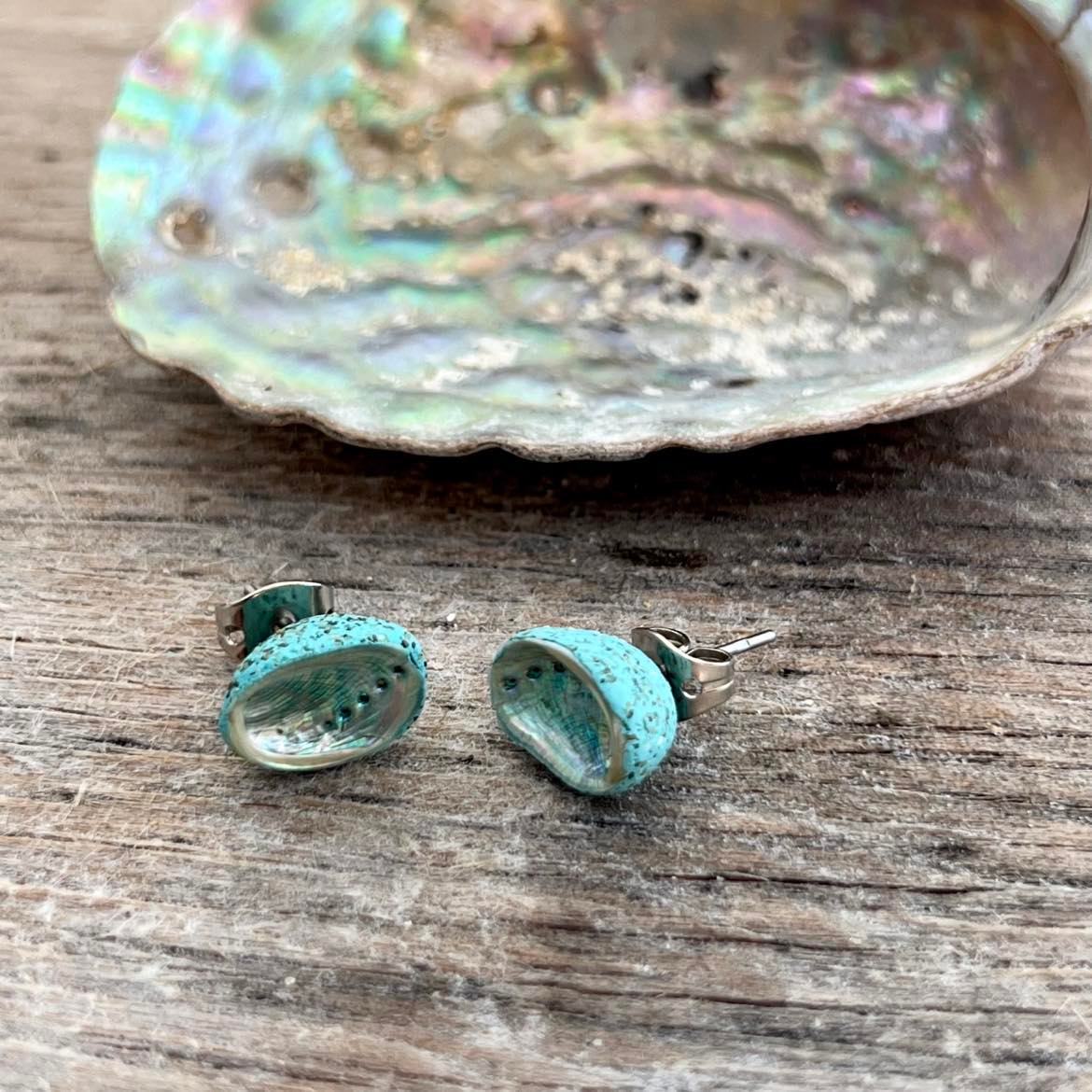 Paua Shell Studs