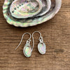 Paua Shell French Hook Earrings