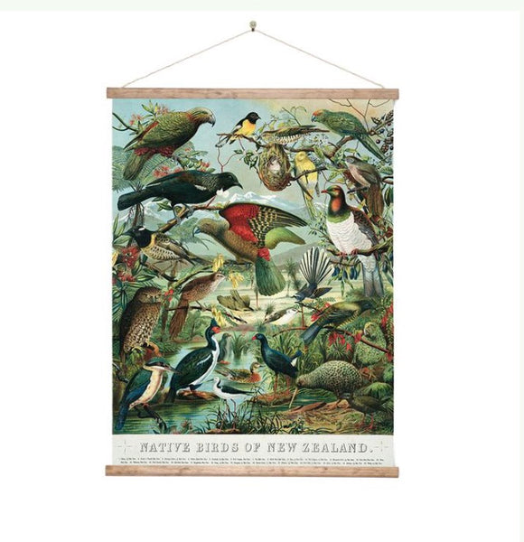 Native Birds of New Zealand Wall Hanging