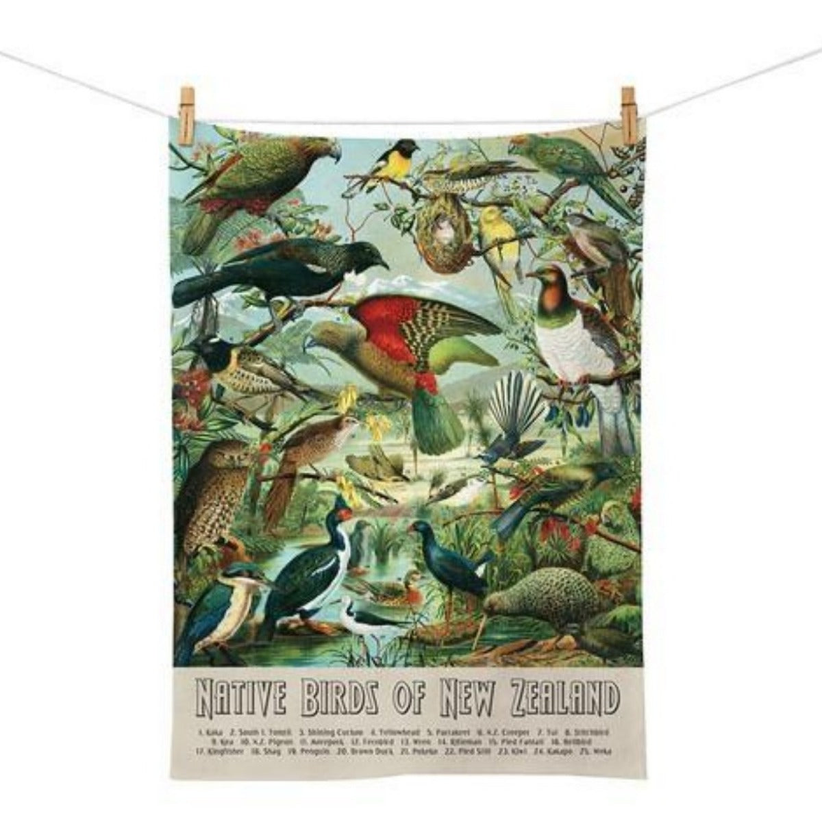 jade kiwi kaikoura gifts native bird tea towel