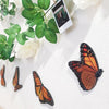 Monarch Butterfly Set